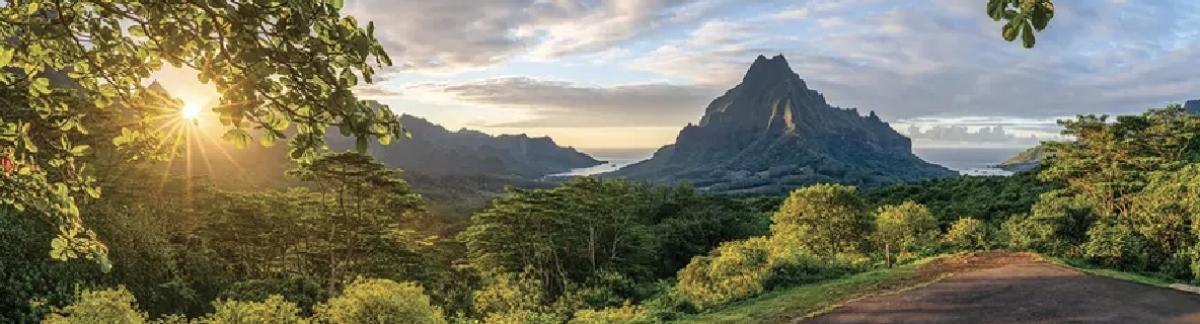 Moorea Safari Tours with hotel transfert Moorea Safari Tours with hotel transfert