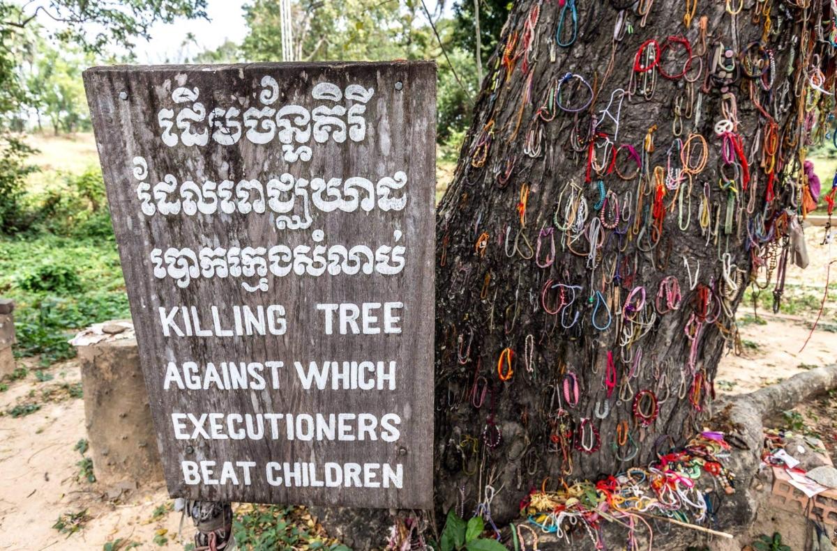 Private 3-4 Hour Trip to Genocidal Museum & Killing Field Private 3-4 Hour Trip to Genocidal Museum & Killing Field
