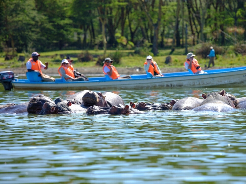 Kenya Safari Tour Magical Wildlife Experience 3