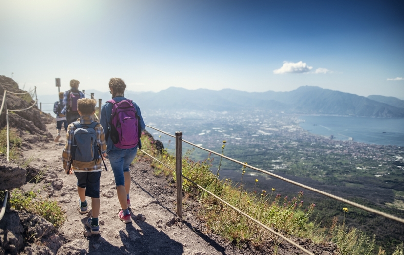 Full-Day Pompeii and Mt. Vesuvius with Lunch and Wine tasting from Naples - shared tour 2
