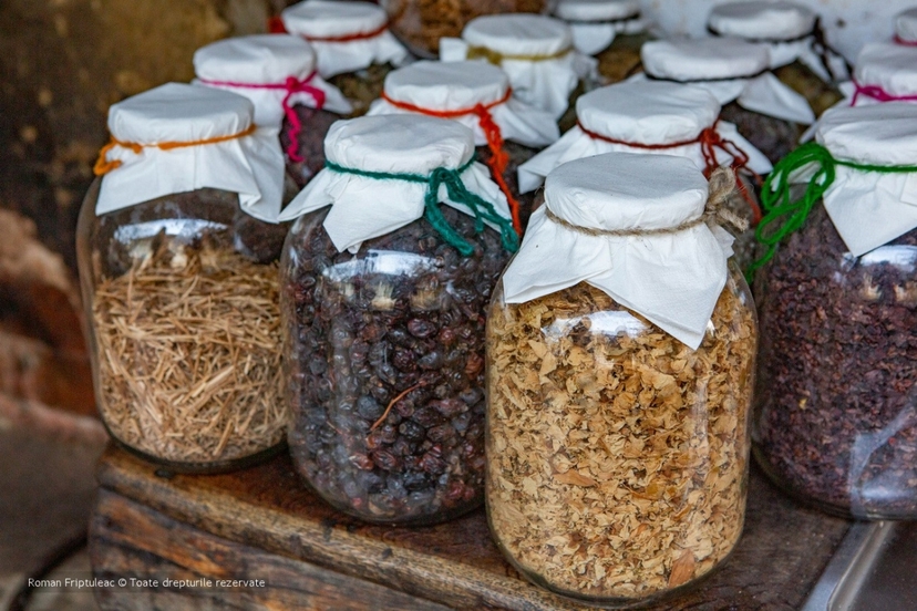 6 Days Gastronomic Tour from Moldova 2