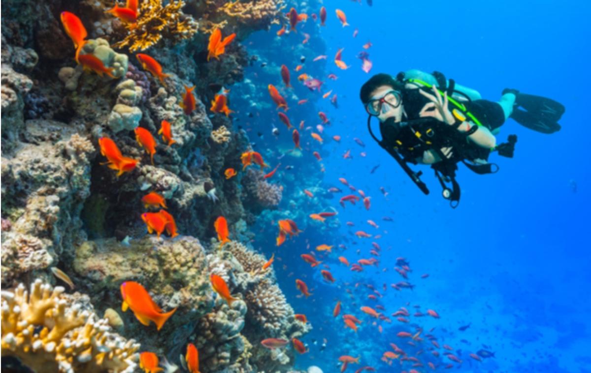 Treasures and Beaches 10 Day Tour Treasures and Beaches 10 Day Tour
