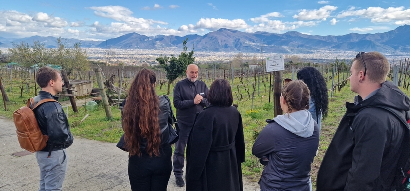 Explore Pompeii and Mt Vesuvius with Lunch and Wine Tasting from Naples - Private tour 3