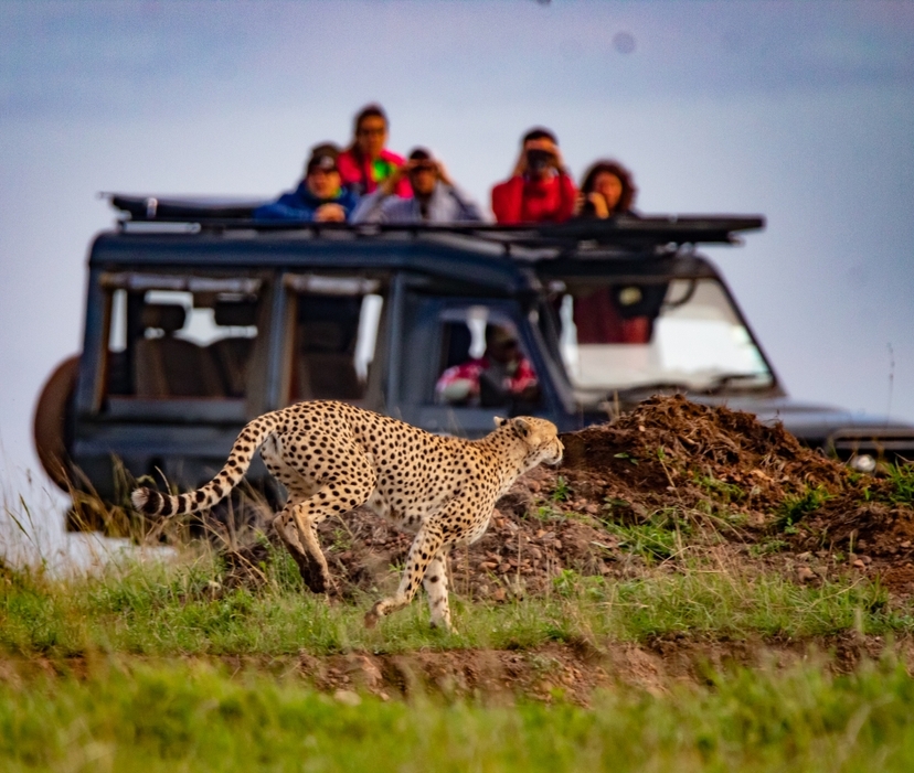 9 Days Classic Highlights of Kenya and Tanzania 4