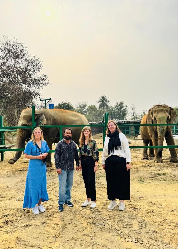 Same Day Taj Mahal With Elephant Conservation Centre From Delhi Same Day Taj Mahal With Elephant Conservation Centre From Delhi