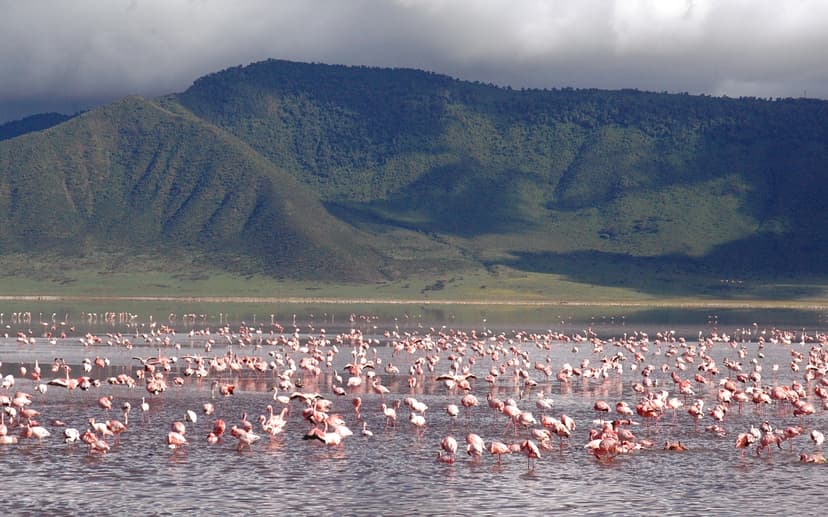 Unforgettable 6-Day Kenya Safari: Game Drives, Horse Riding & More 4