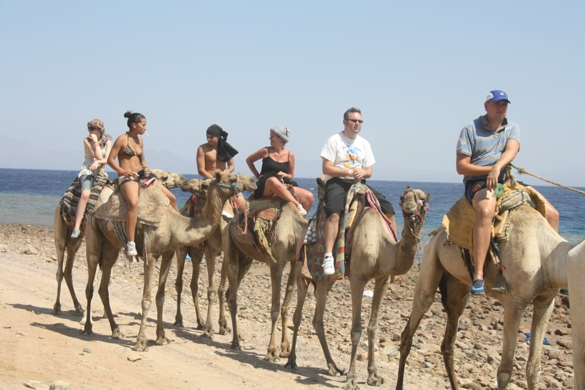 Old Virgin – Discover Sinai With Jeep Safari 1