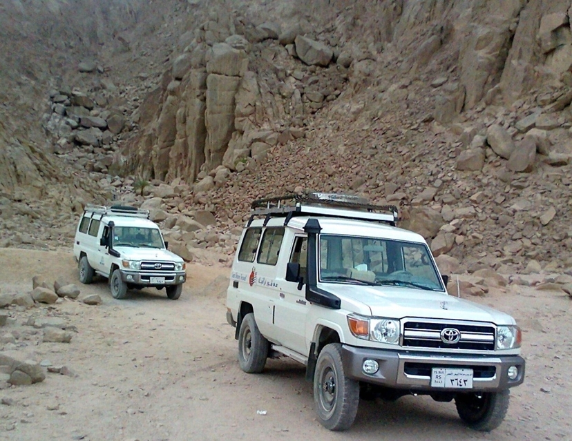 Old Virgin – Discover Sinai With Jeep Safari 2