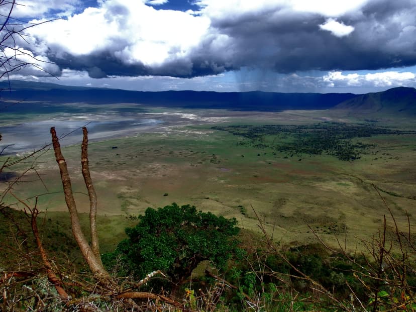 Full-Day Trip to Ngorongoro Crater 2