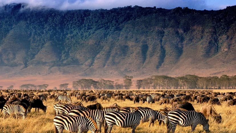 Full-Day Trip to Ngorongoro Crater 4