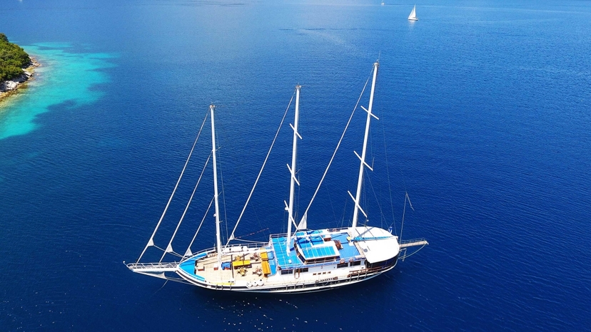 8-day/7-night Harmony cruise 2026 4