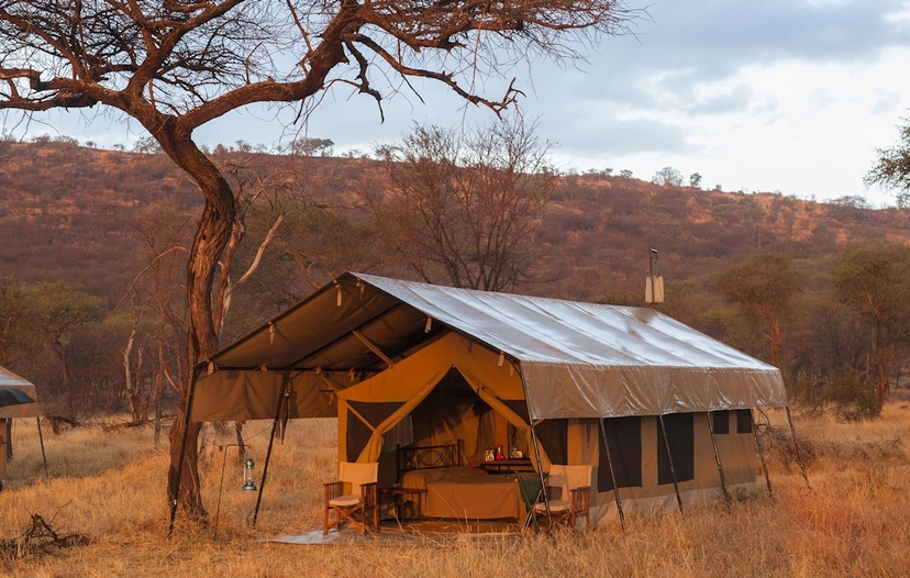 Honey On the Moon, Nine days of Bliss In Tanzania 4