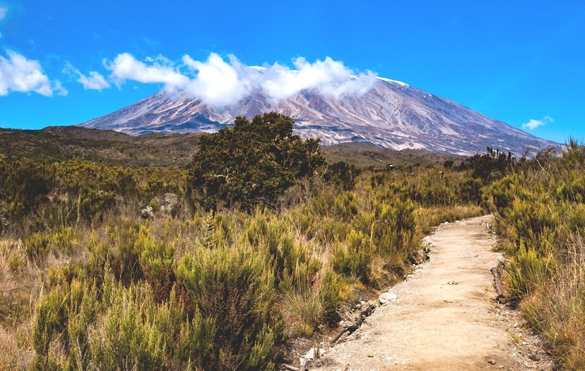 Adventure to the Kilimanjaro summit using the Umbwe Route 2