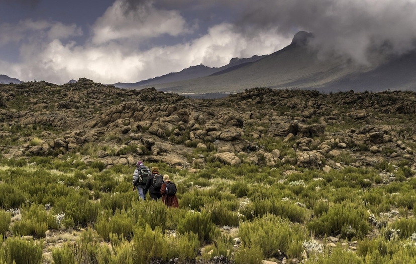 Adventure to the Kilimanjaro summit using the Umbwe Route 3