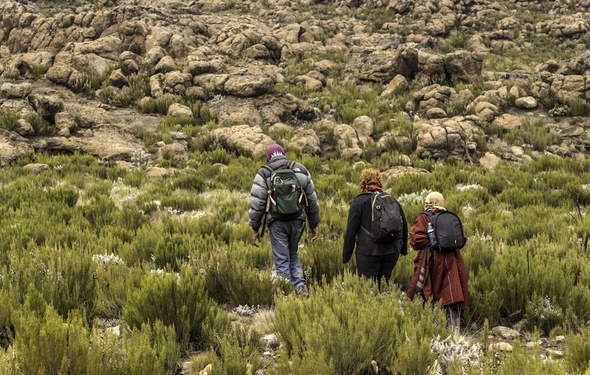 Mt.Kilimanjaro via the Shira Route, An Epic Adventure 3