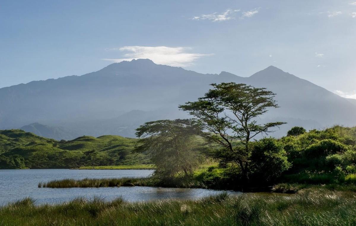 Day Tour Safari To Arusha National Park Day Tour Safari To Arusha National Park