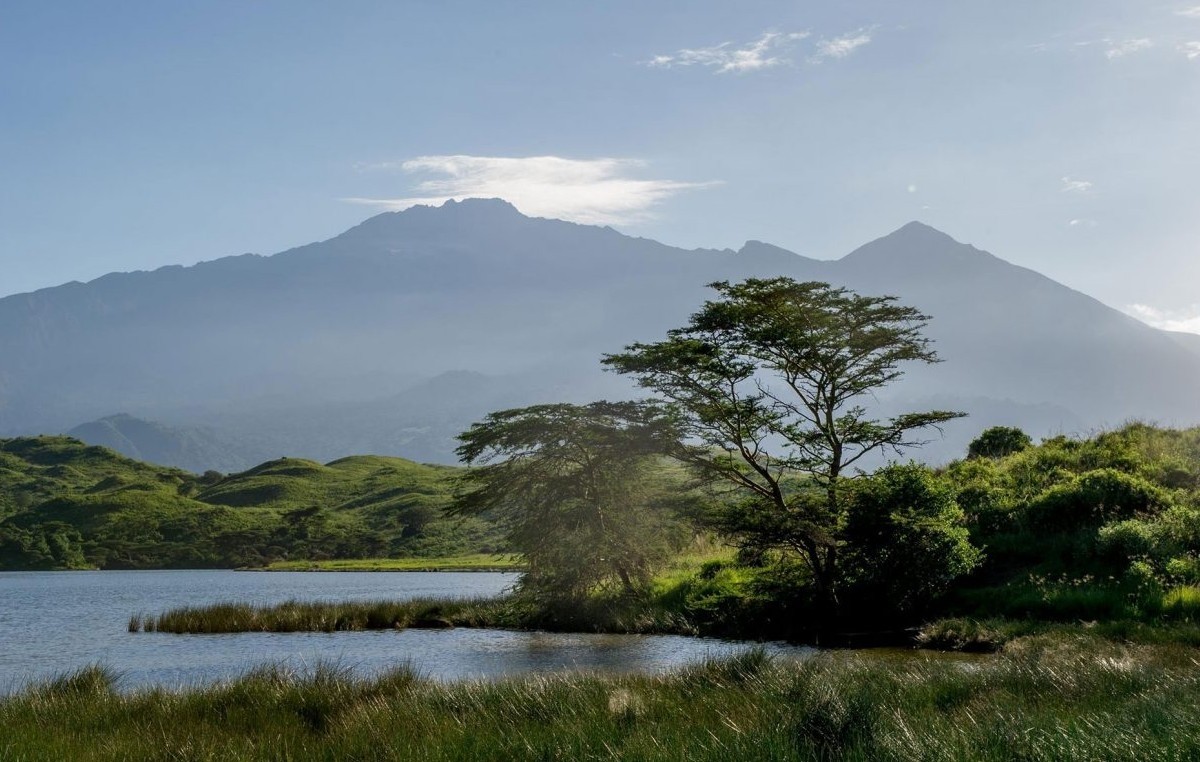 Day Tour Safari To Arusha National Park 1