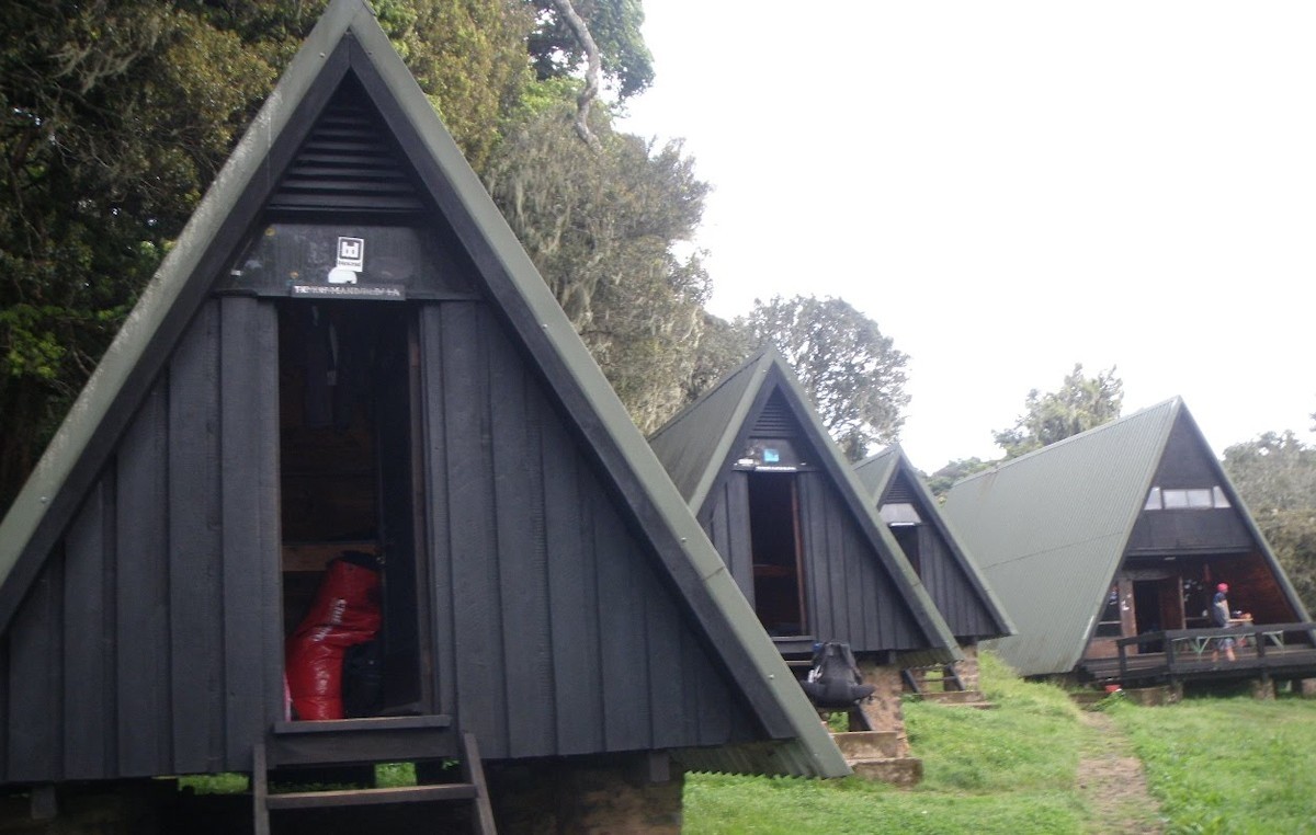 Day Tour Kilimanjaro – Mandara Hut 1