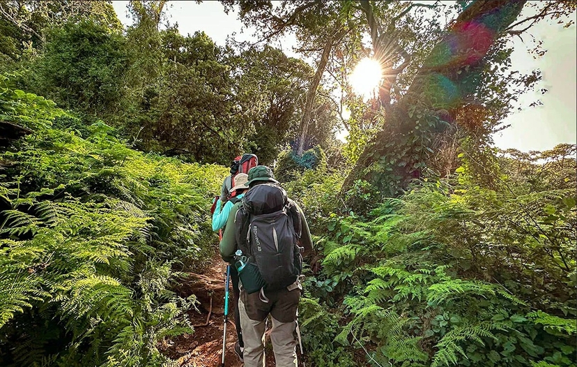 Day Tour Kilimanjaro – Mandara Hut 2