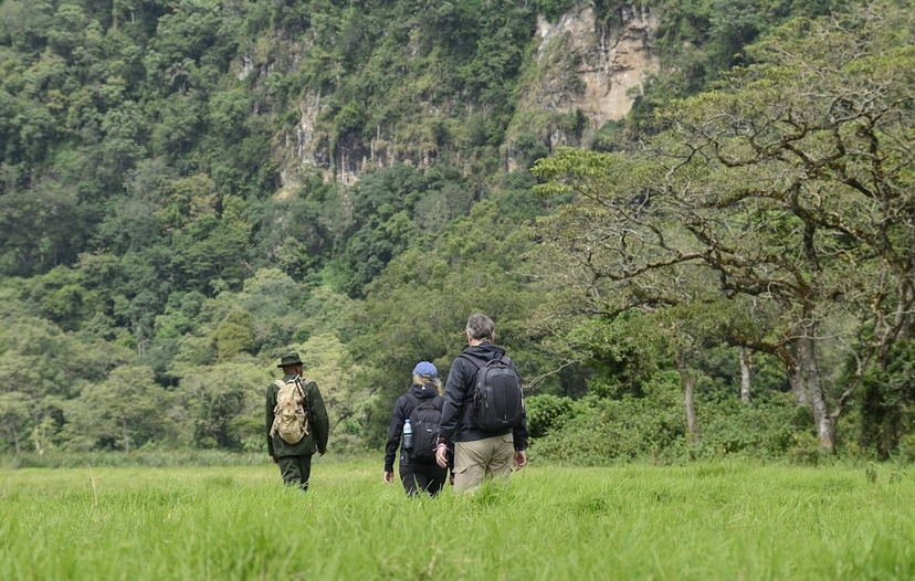 Day Tour Kilimanjaro – Mandara Hut 3