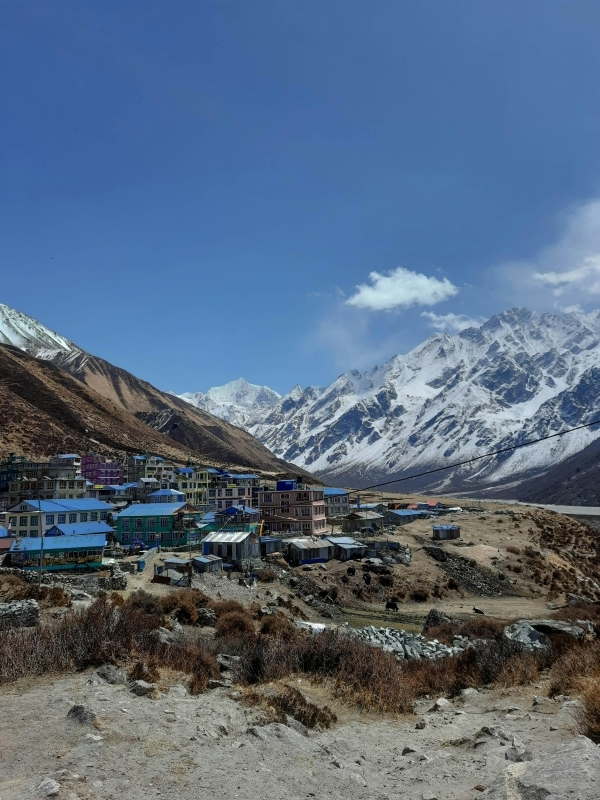 10 Days Langtang Valley Trek 1