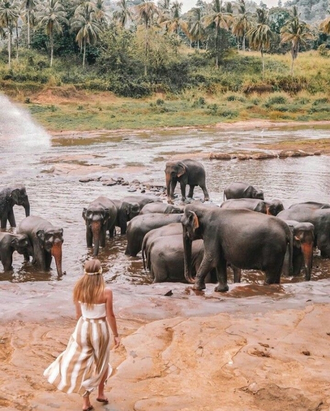 Safari & Nature Trails of Sri Lanka 4