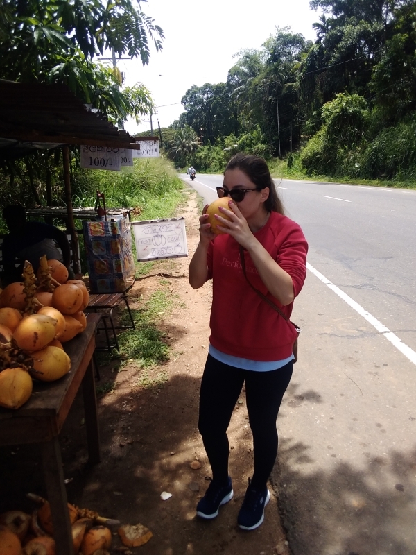 Explore the Wonders of Sri Lanka on a Budget 2