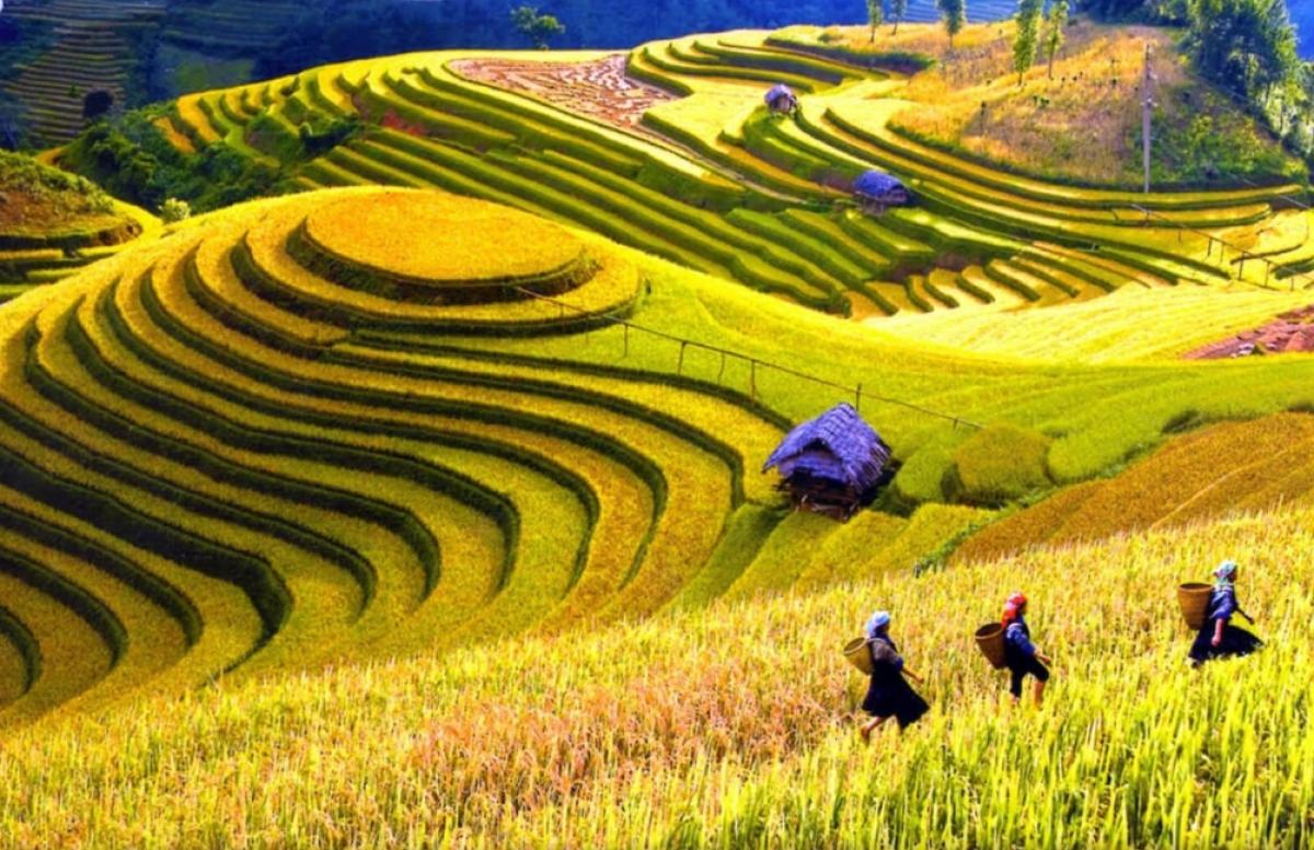 Sapa 3 Days 2 Nights from Hanoi - Overnight in Ta Van Village Sapa 3 Days 2 Nights from Hanoi - Overnight in Ta Van Village