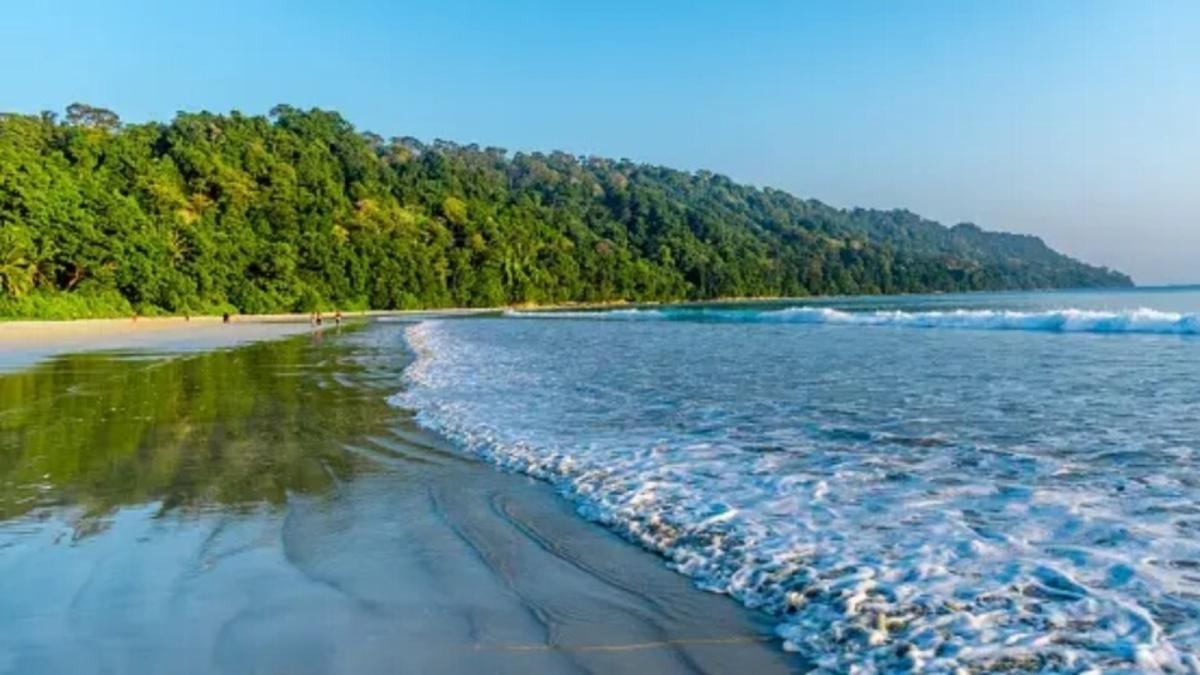 Andaman Tour Andaman Tour