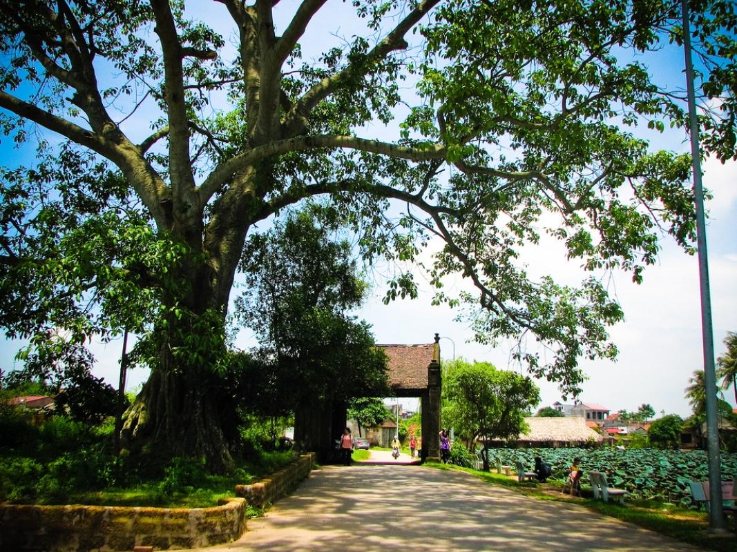 Full-Day Hanoi Jeep/Vespa/Motorbike Tour Explore Duong Lam Ancient Village Full-Day Hanoi Jeep/Vespa/Motorbike Tour Explore Duong Lam Ancient Village