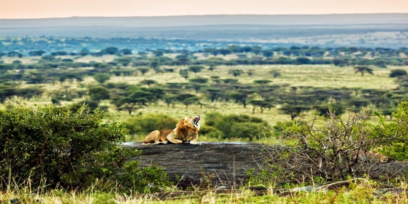 3 Days Classic Serengeti & Ngorongoro Safari 4