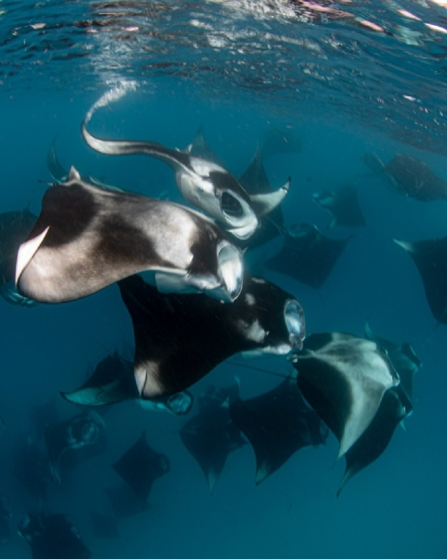 Maldives Holiday Tours for Groups