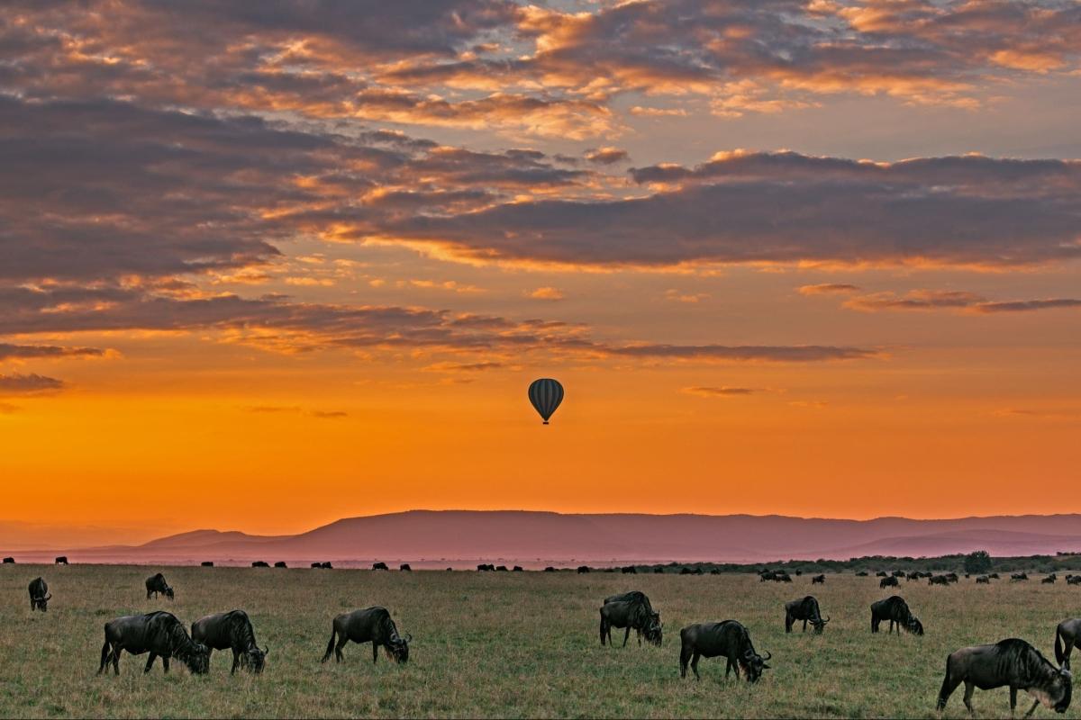 5 Days Masai Mara, L. Nakuru & Hells Gate National Park 5 Days Masai Mara, L. Nakuru & Hells Gate National Park