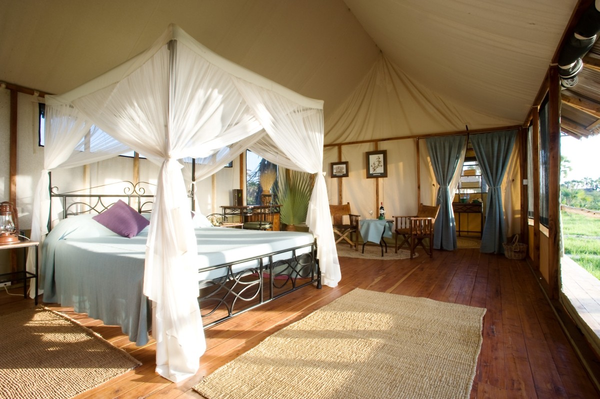 4-Day Magical Balloon Safari in Northern Tanzania: Ngorongoro Crater & Serengeti 1