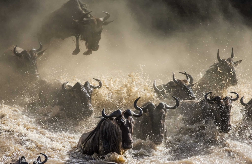 8 Days All Inclusive Soul of Tanzania Safari 3
