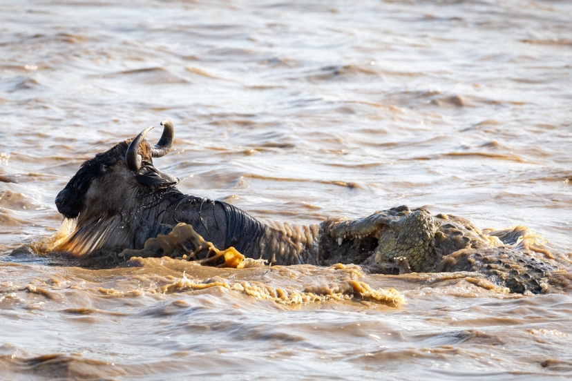 8 Days All Inclusive Soul of Tanzania Safari 4