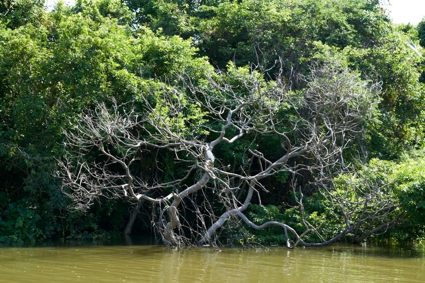 5 Days Cartagena by Bike, Boat and Tradition 4