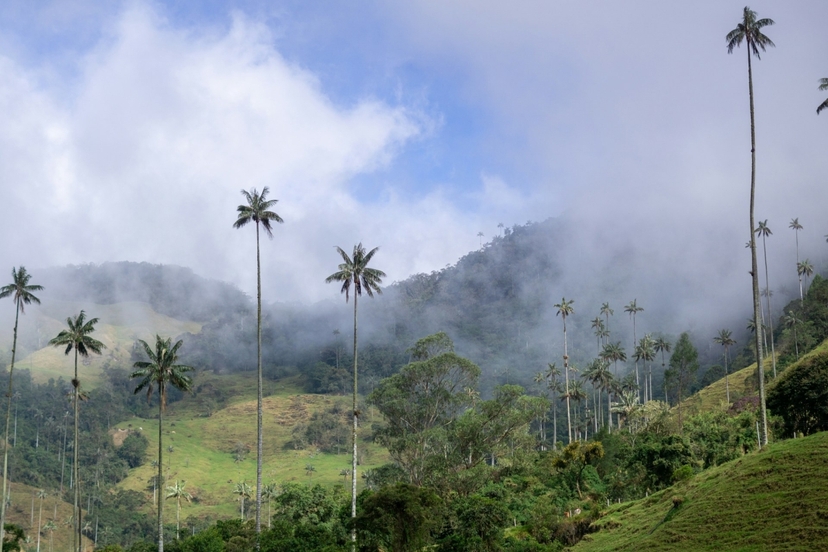 5 Days in Colombia: Flavors, Nature & Wellness in Risaralda 4