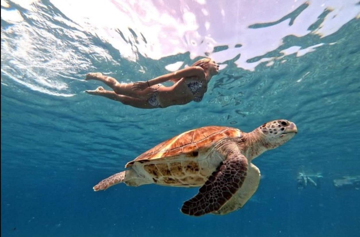 Curacao Nature Tour Island Wildlife Experience 1
