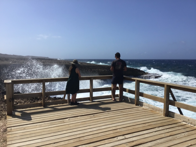 Curacao Nature Tour Island Wildlife Experience 2