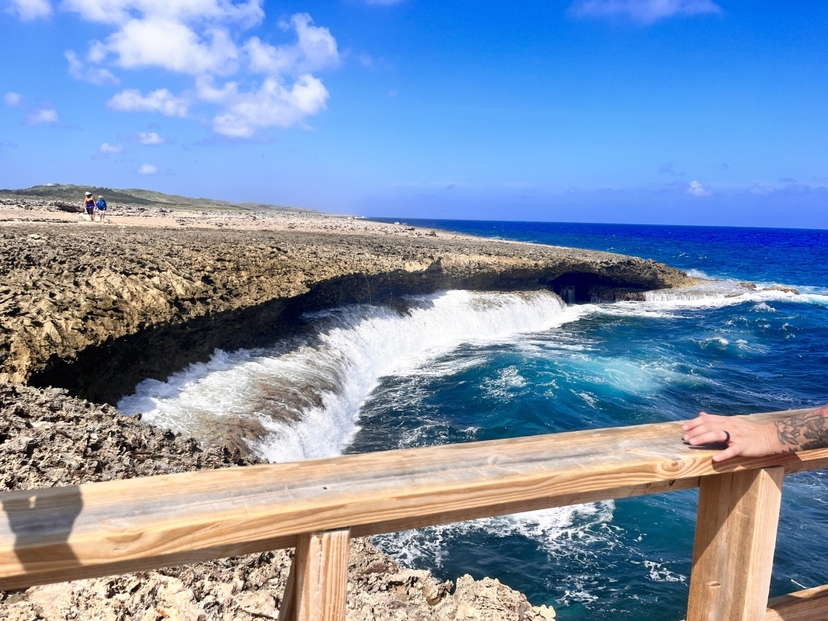 Curacao Nature Tour Island Wildlife Experience 3
