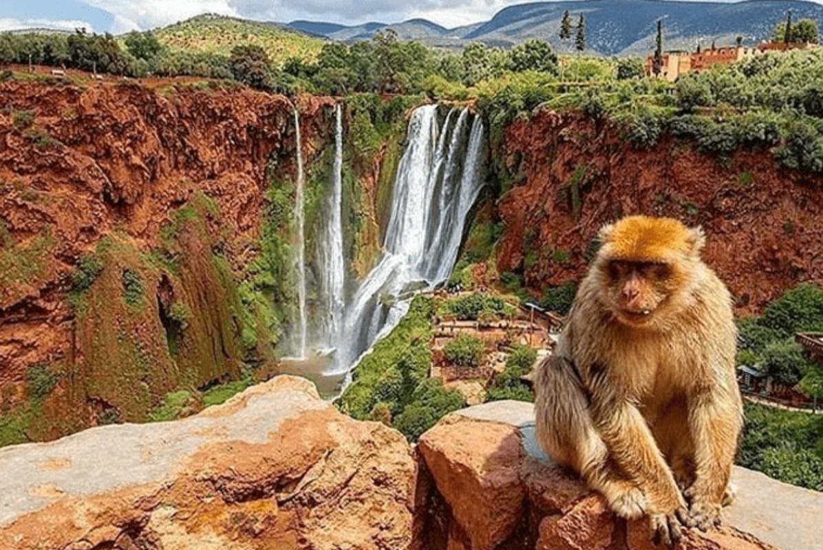 Small group Ouzoud Waterfall Guided Tour Boat Ride from Marrakech Small group Ouzoud Waterfall Guided Tour Boat Ride from Marrakech