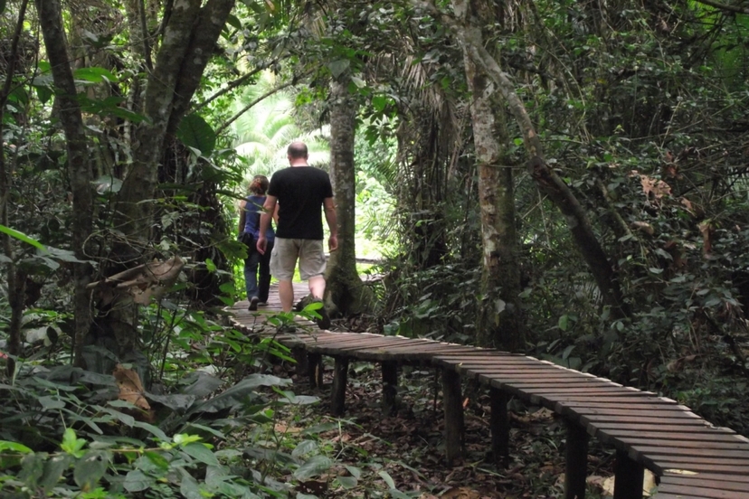 5-Day Chimpanzee & Gorilla Trekking Safari in Uganda 4