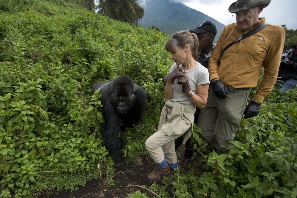 3 Day Gorilla trekking Safari in Uganda 1