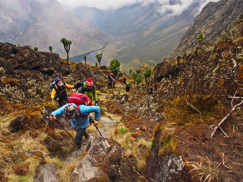 10 Day Rwenzori Trek Central Circuit Trail 3