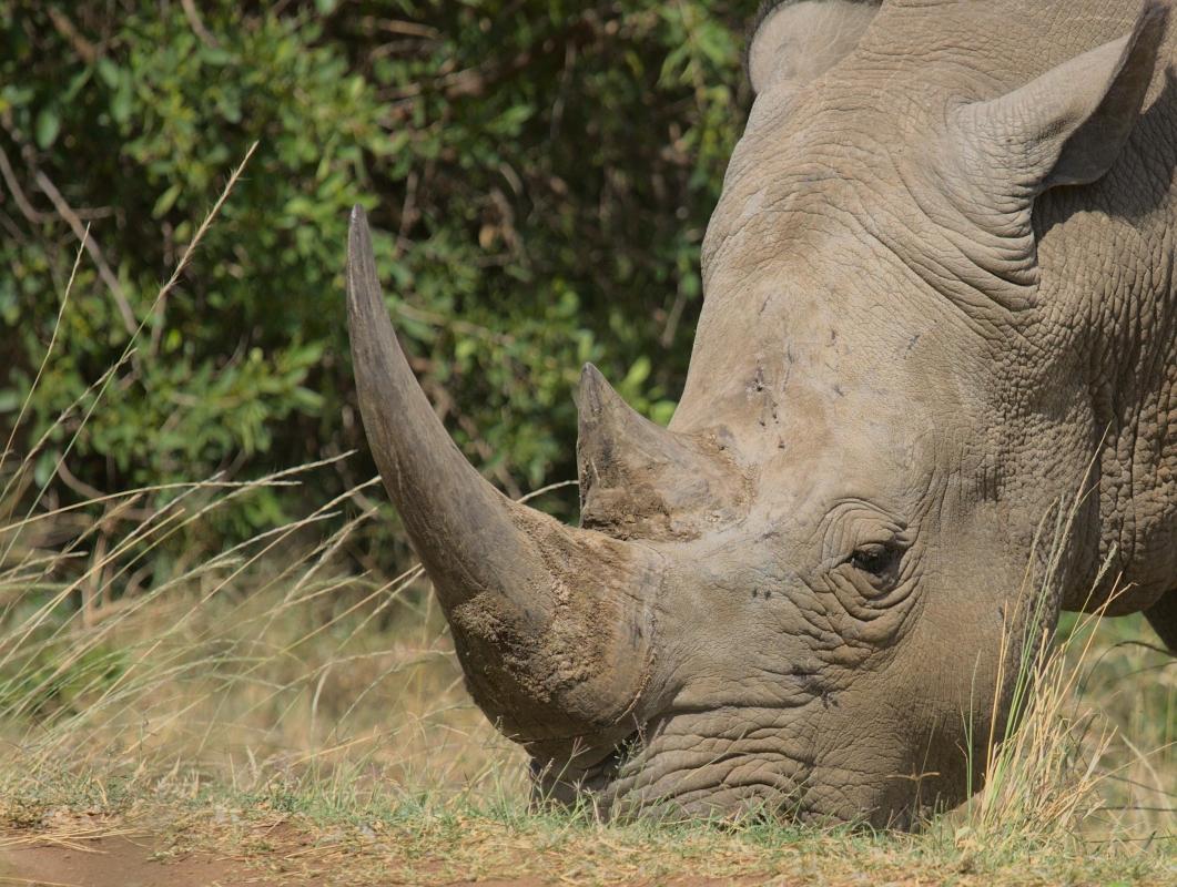 3 Day Murchsion Fall Safari 3 Day Murchsion Fall Safari