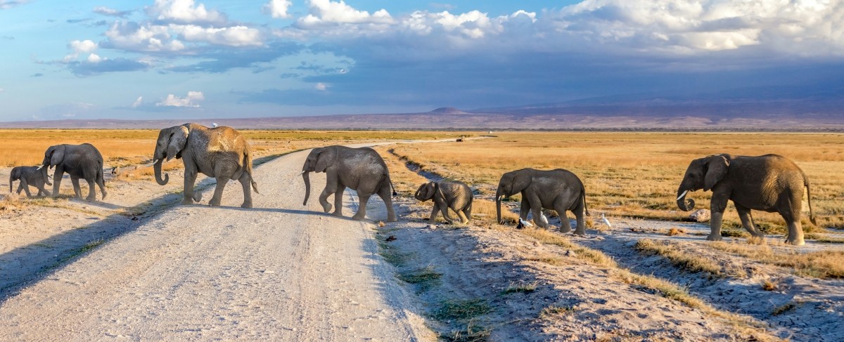 7-Day Kenya Luxury Safari | Amboseli | Naivasha | Mara NR 1