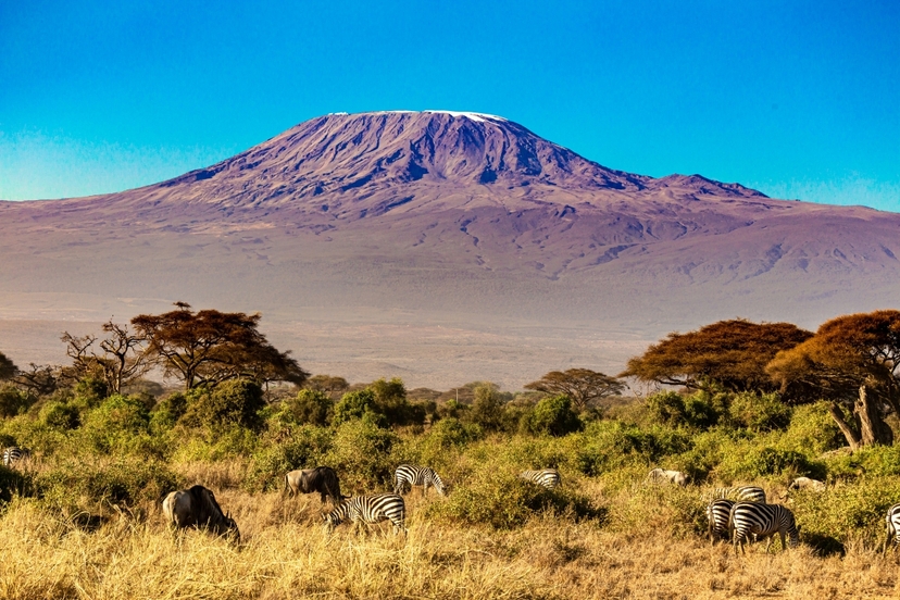 7-Day Kenya Luxury Safari | Amboseli | Naivasha | Mara NR 2