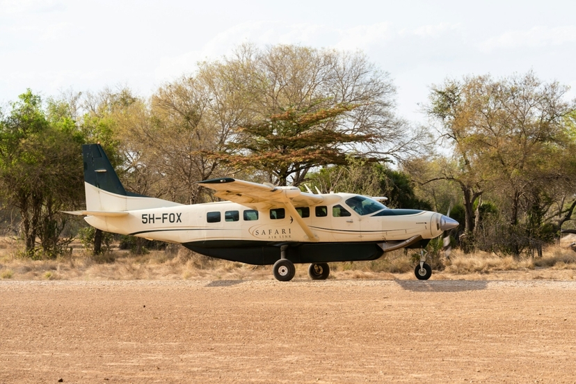 1-Day Private Safari: Zanzibar to Nyerere National Park by Flight 3