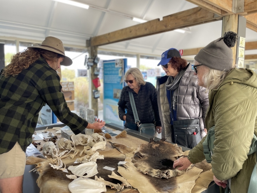 Kangaroo Island Scenic Nature and Wildlife Day Tour 4